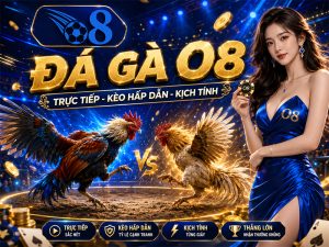 Đá gà O8