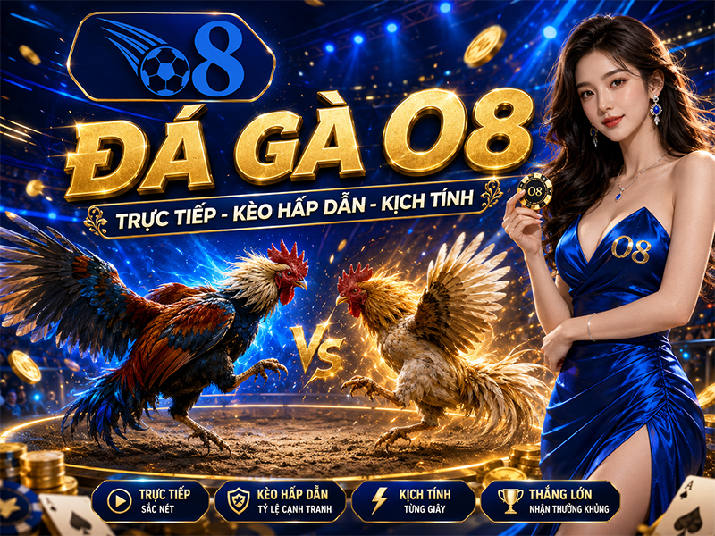 Đá gà O8